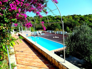 Private accommodation Apartments wiht pool Novalja island Pag